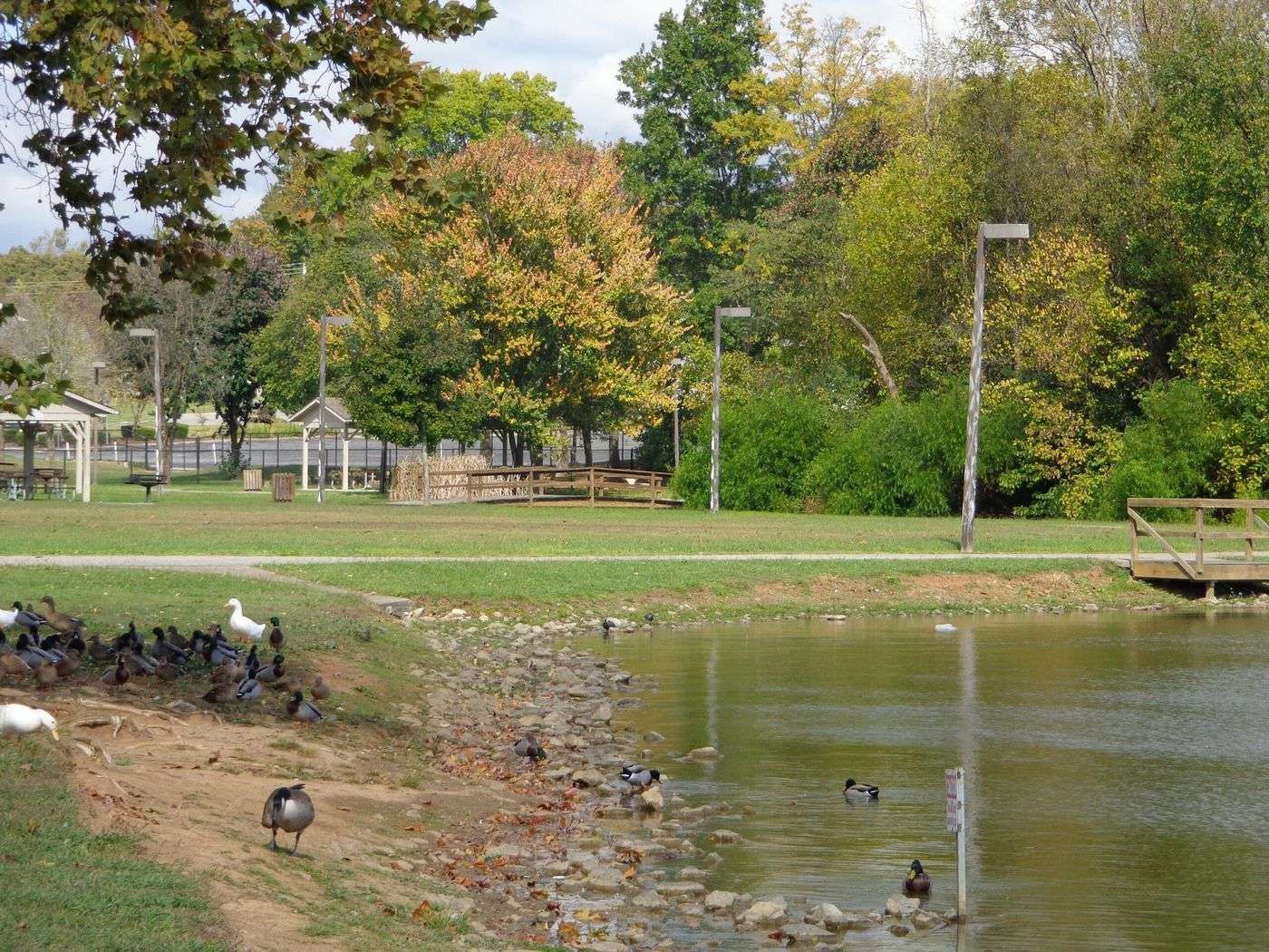 Construction on Alcoa Duck Pond improvements has begun LDA Fiber